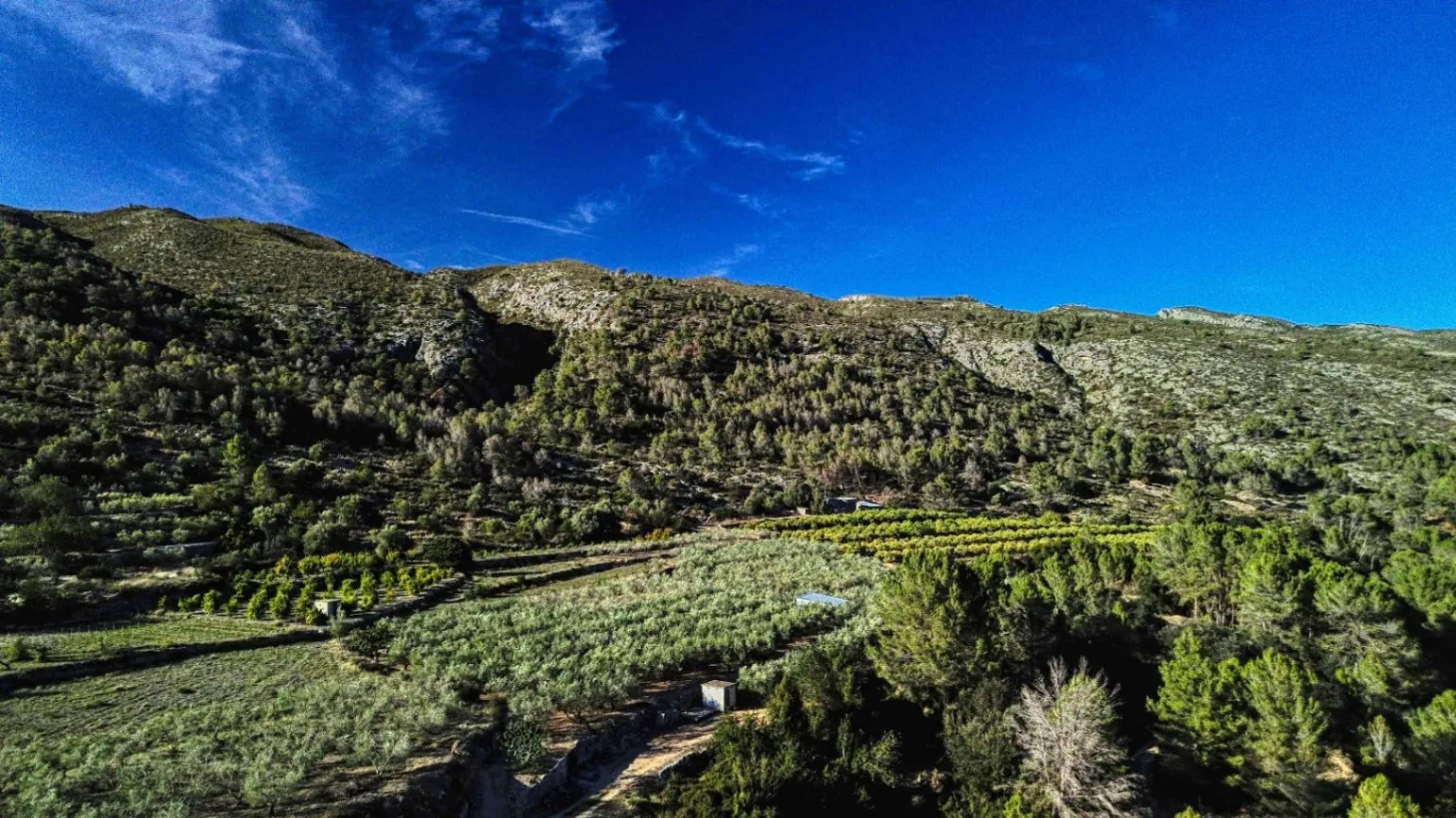 Nave comercial con posibilidad de vivienda en venta en Beniali, Vall de Gallinera.