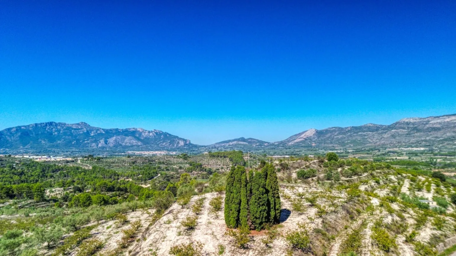 Inversión vivienda y negocio rural con licencia en Planes (Alicante)