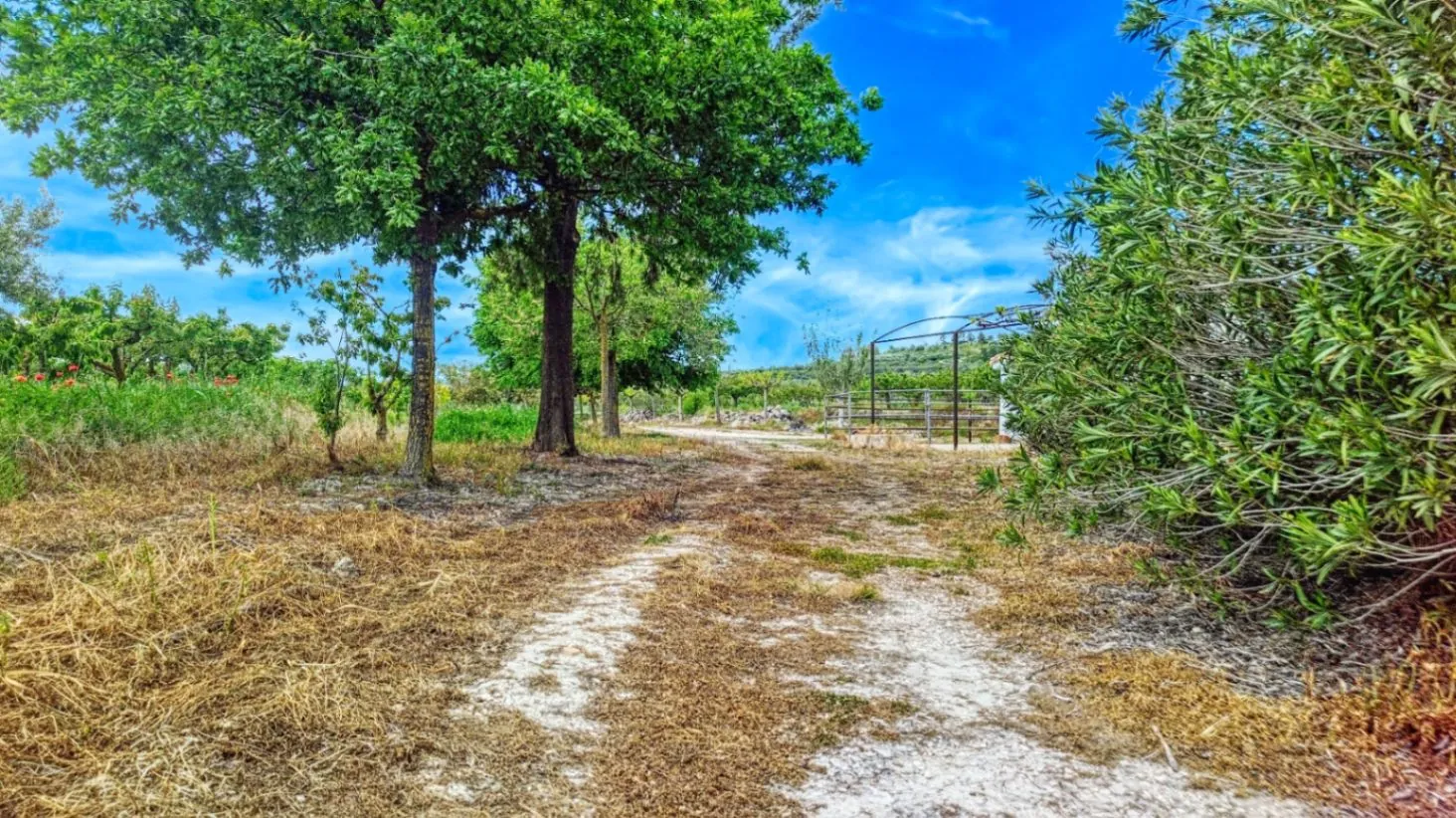Country house for sale in Vall d'Alcalá (Alicante) and a plot of 12,000 m².