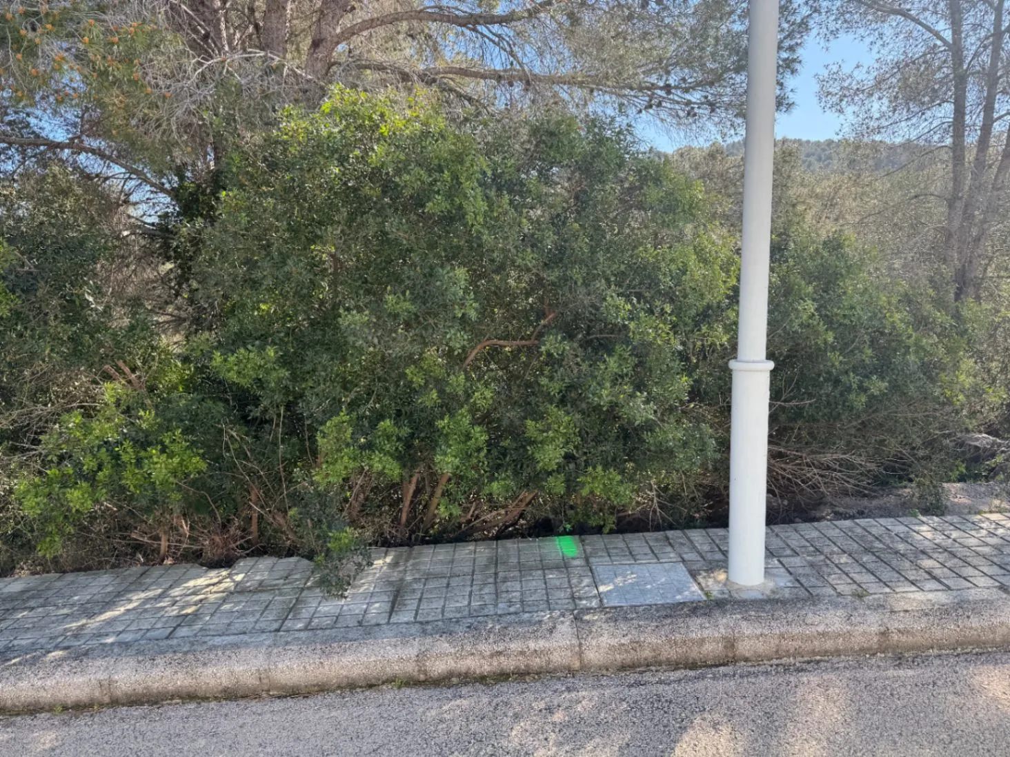 Parcelas urbanas consolidadas en venta Urbanización Tossal Gros en la Font d'En Carros (Costa Blanca)
