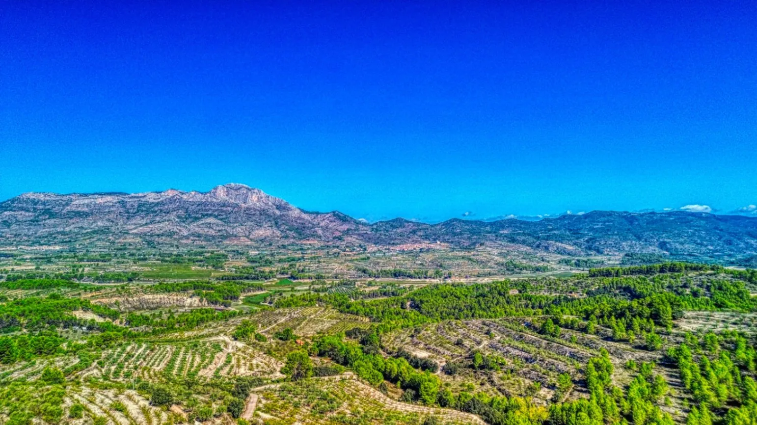 Inversión vivienda y negocio rural con licencia en Planes (Alicante)