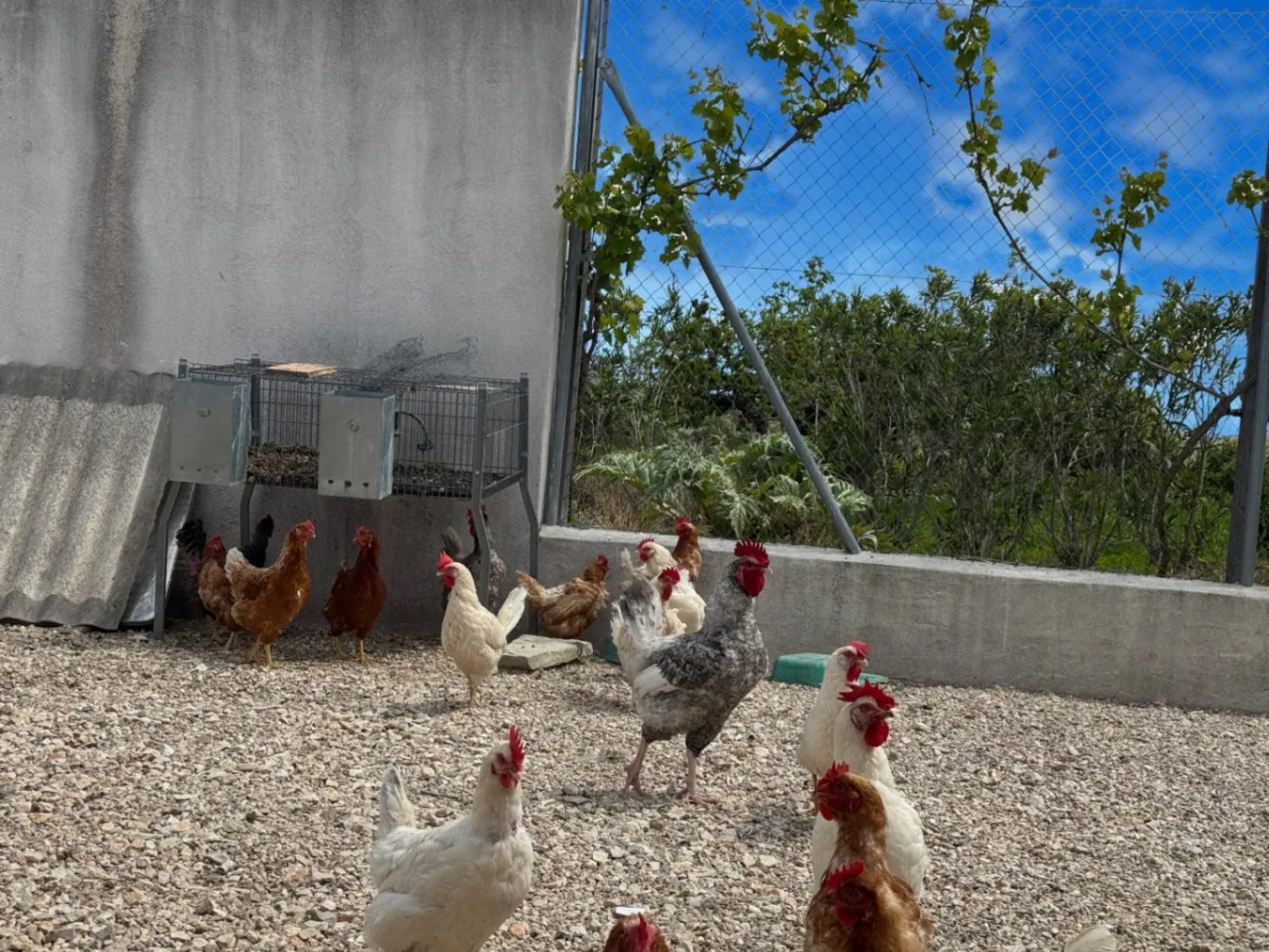 Country house for sale in Vall d'Alcalá (Alicante) and a plot of 12,000 m².
