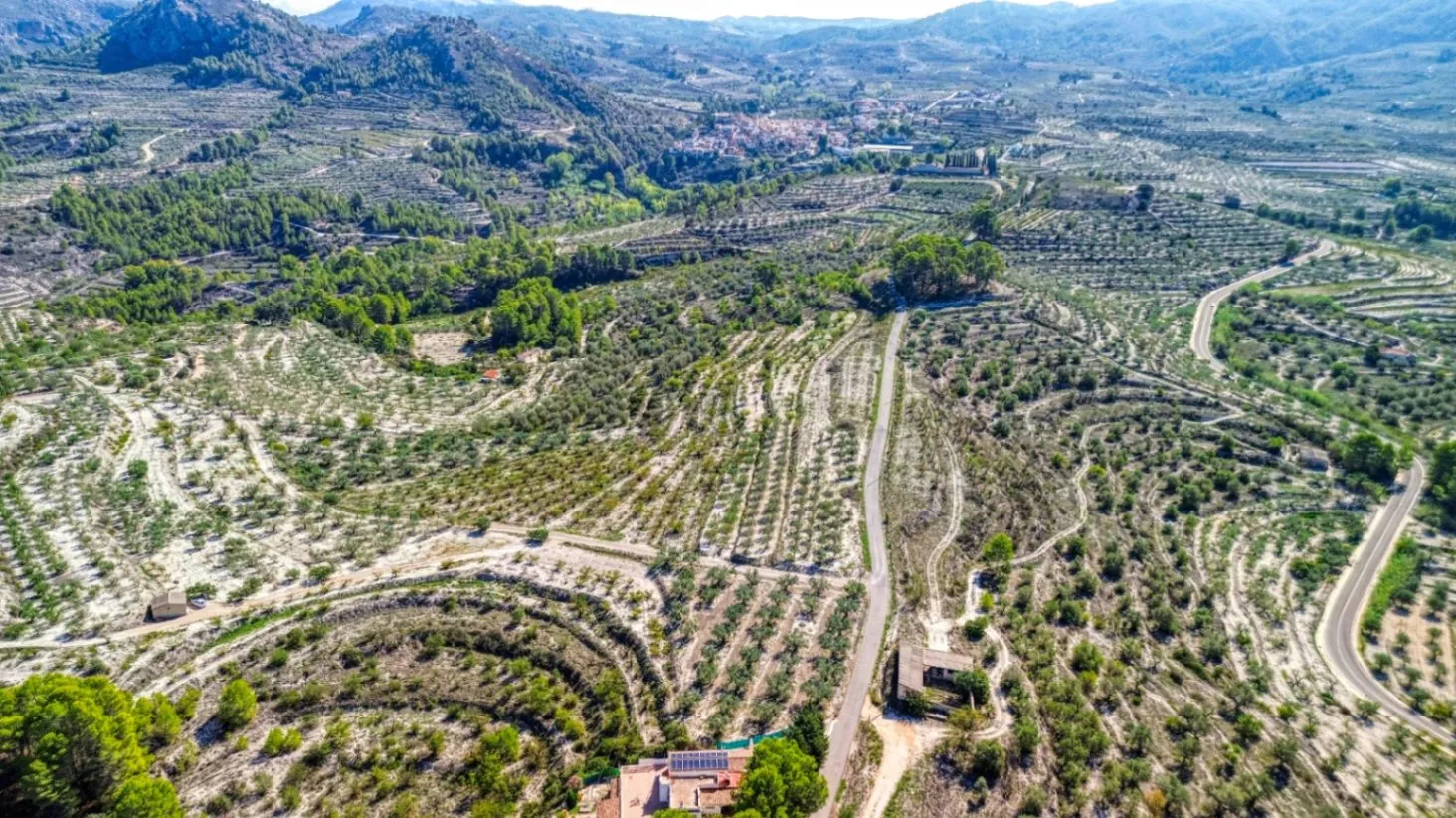 Inversión vivienda y negocio rural con licencia en Planes (Alicante)