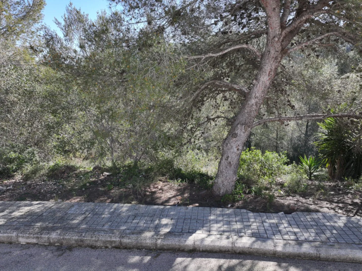 Parcelas urbanas consolidadas en venta Urbanización Tossal Gros en la Font d'En Carros (Costa Blanca)