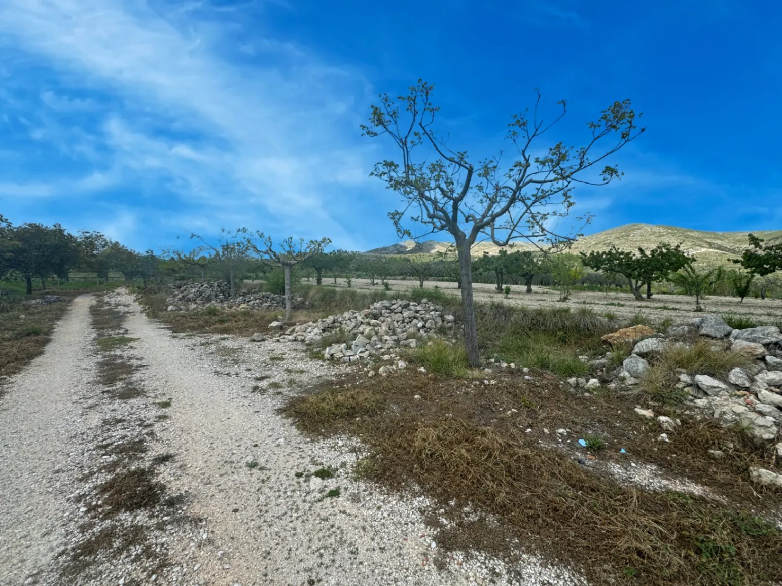 Country house for sale in Vall d'Alcalá (Alicante) and a plot of 12,000 m².