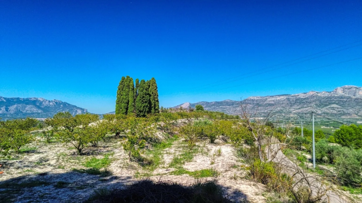 Inversión vivienda y negocio rural con licencia en Planes (Alicante)