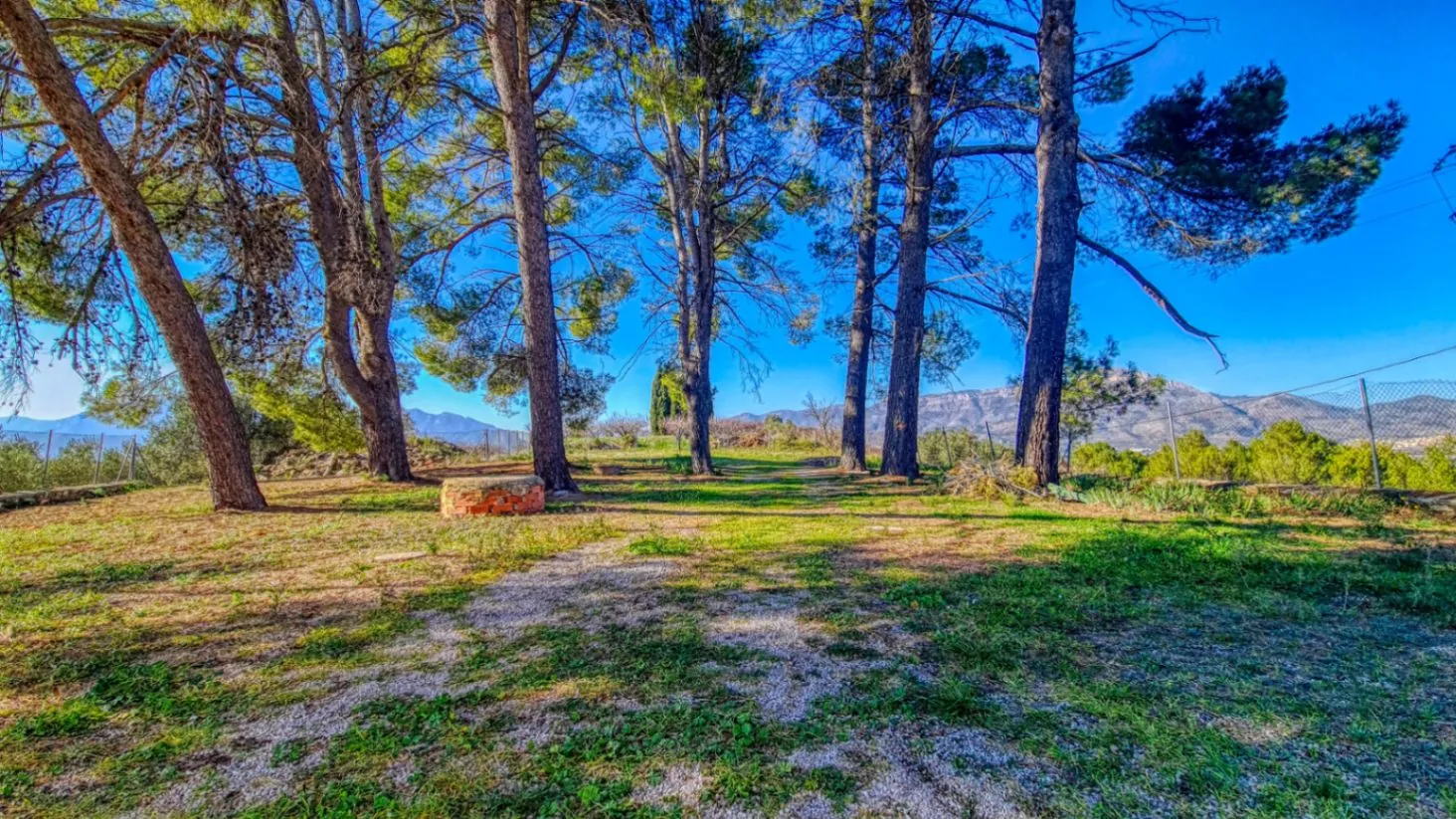 Inversión vivienda y negocio rural con licencia en Planes (Alicante)
