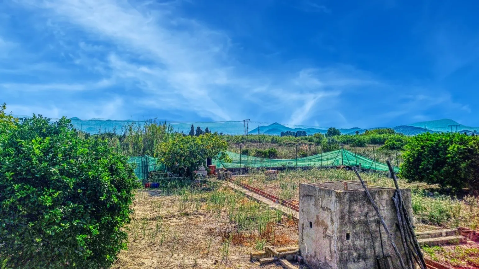 Chalet individual en Oliva Nova - Costa Blanca