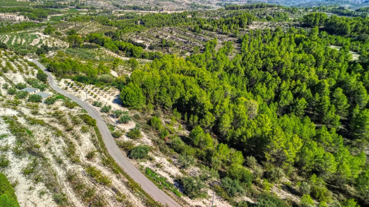 Inversión vivienda y negocio rural con licencia en Planes (Alicante)