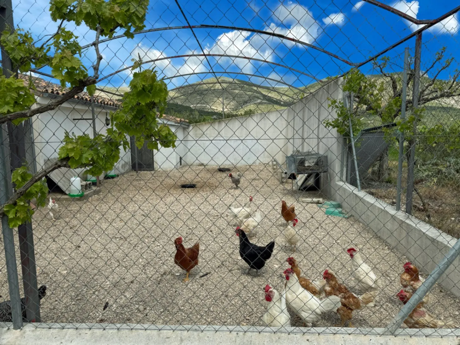 Country house for sale in Vall d'Alcalá (Alicante) and a plot of 12,000 m².