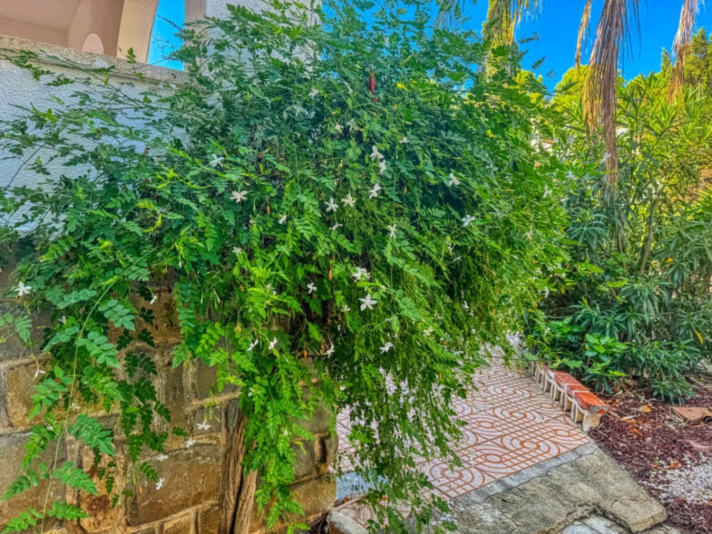Chalet con pista de tenis y jardín en Les Rotes (Denia)