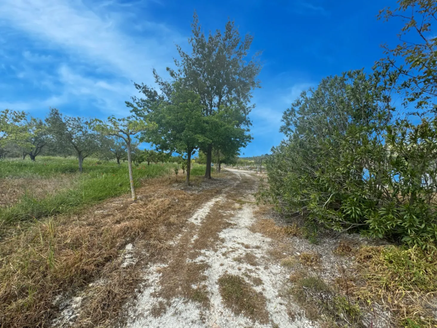 Country house for sale in Vall d'Alcalá (Alicante) and a plot of 12,000 m².