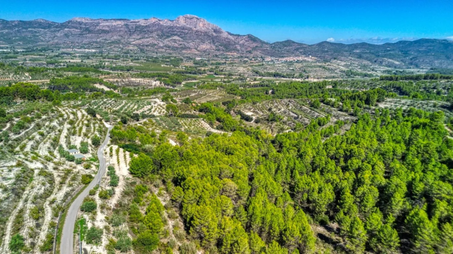 Inversión vivienda y negocio rural con licencia en Planes (Alicante)