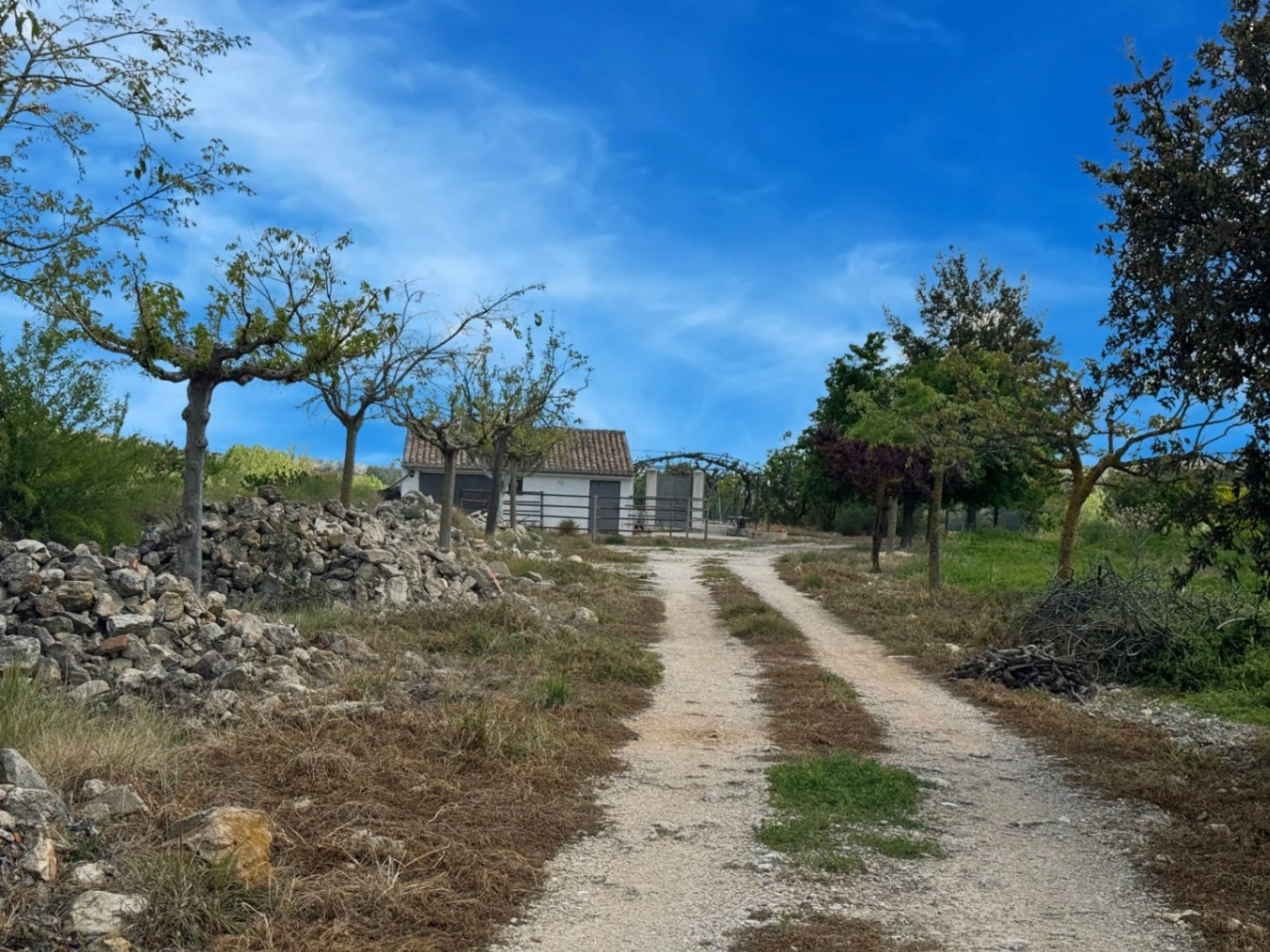 Country house for sale in Vall d'Alcalá (Alicante) and a plot of 12,000 m².