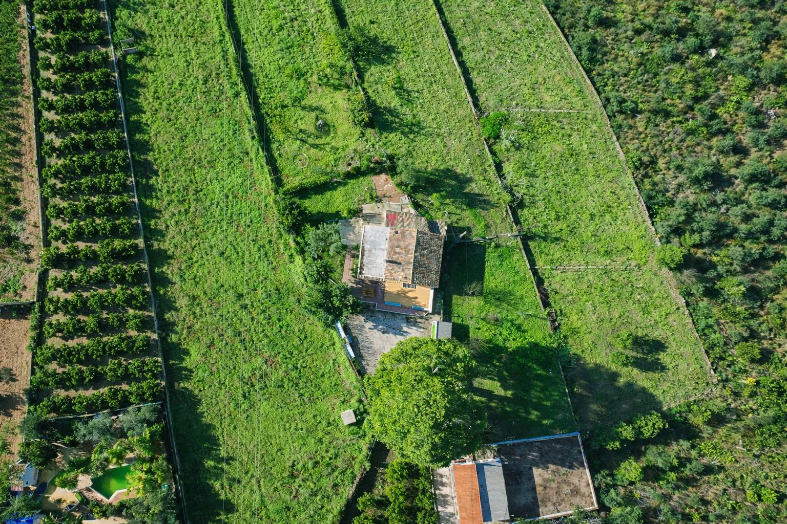 Casa de campo con cuadra de caballos cerca de Pego (Costa Blanca)