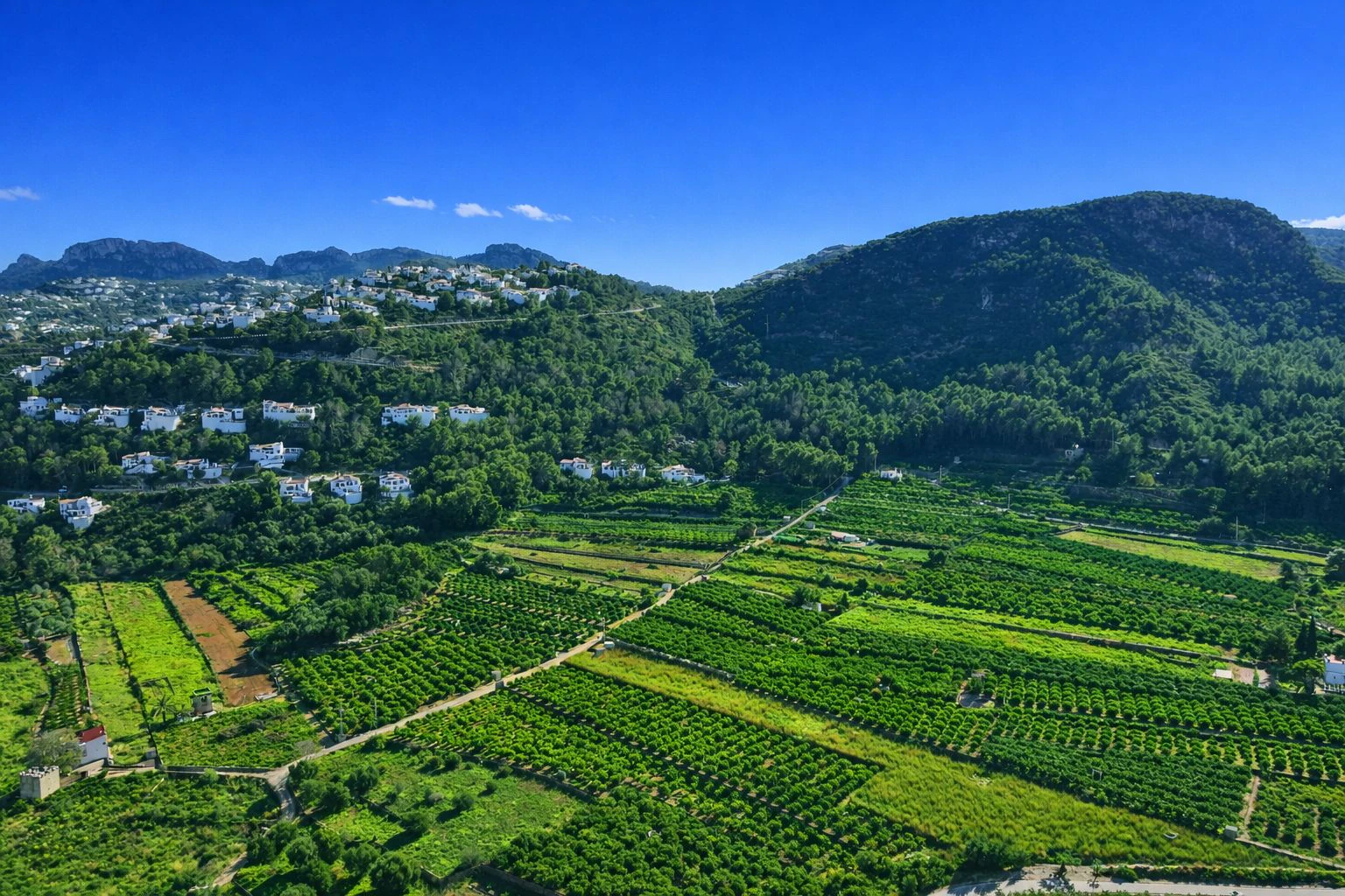 Casa de campo con cuadra de caballos cerca de Pego (Costa Blanca)