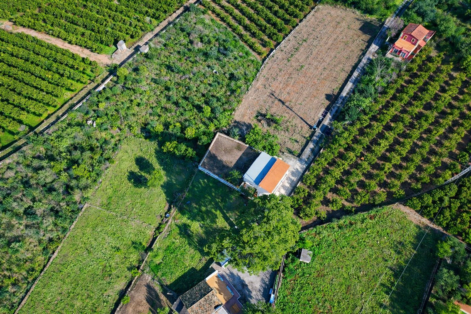 Casa de campo con cuadra de caballos cerca de Pego (Costa Blanca)