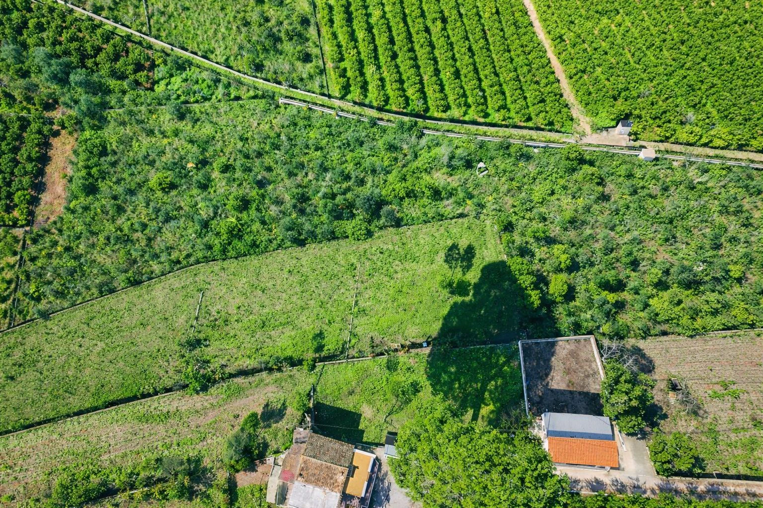 Casa de campo con cuadra de caballos cerca de Pego (Costa Blanca)