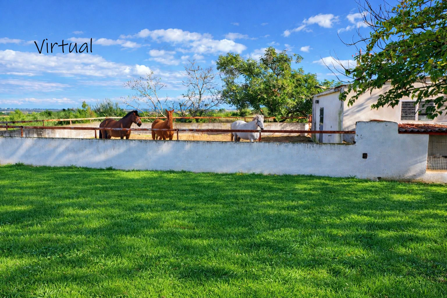 Casa de campo con cuadra de caballos cerca de Pego (Costa Blanca)