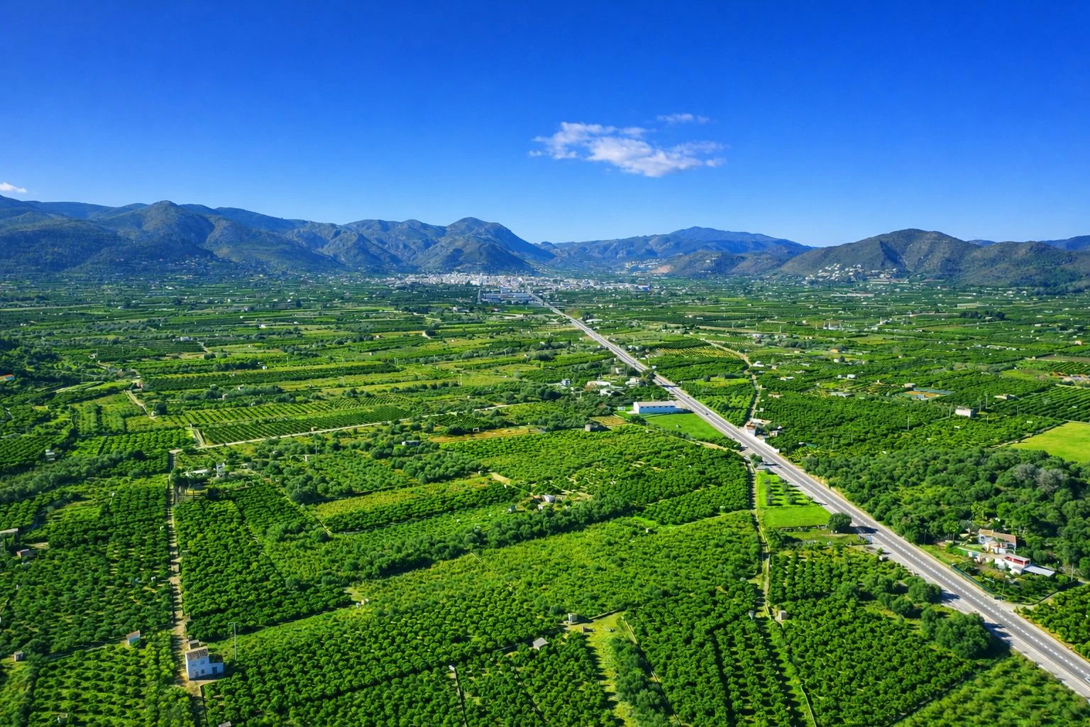 Casa de campo con cuadra de caballos cerca de Pego (Costa Blanca)
