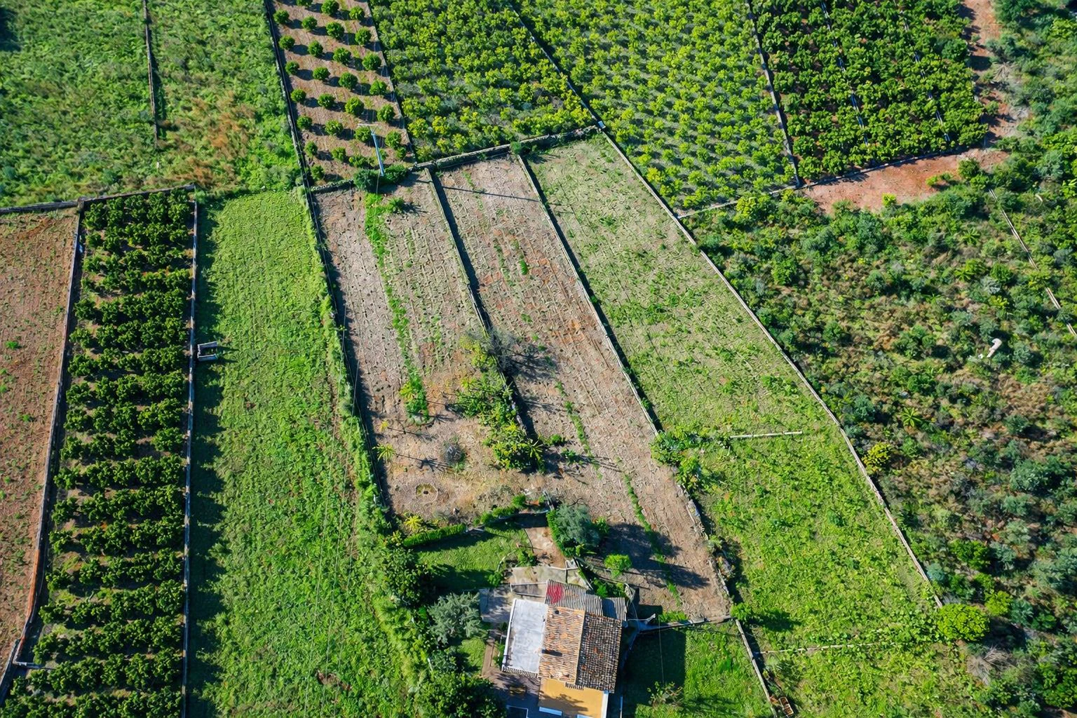 Casa de campo con cuadra de caballos cerca de Pego (Costa Blanca)