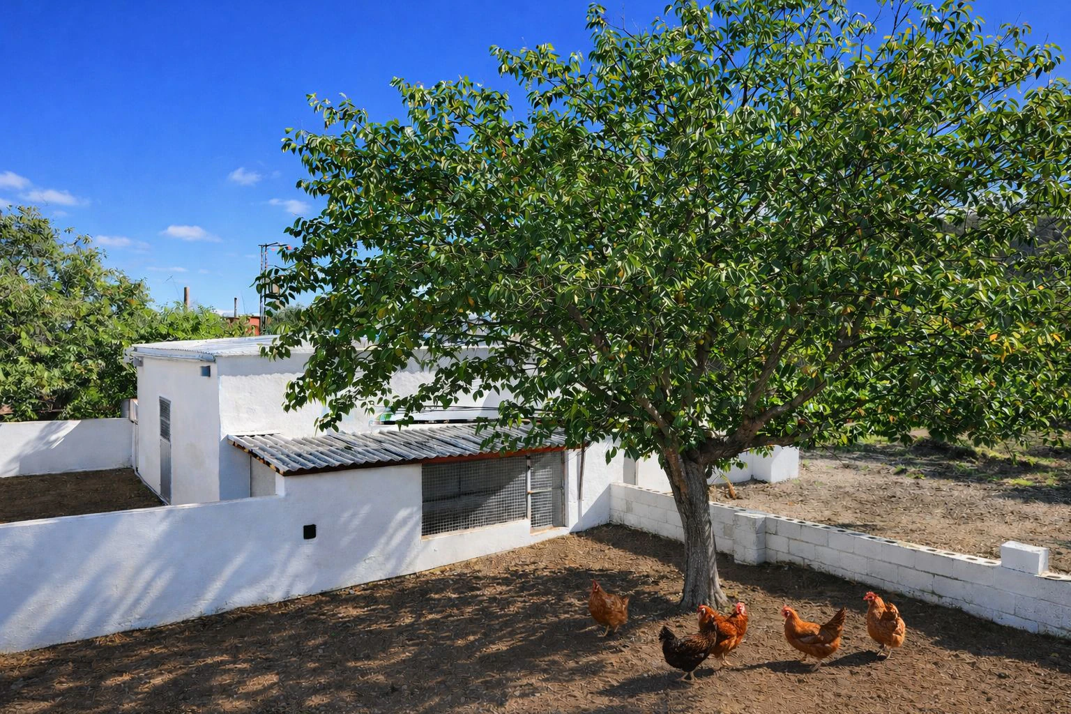 Casa de campo con cuadra de caballos cerca de Pego (Costa Blanca)