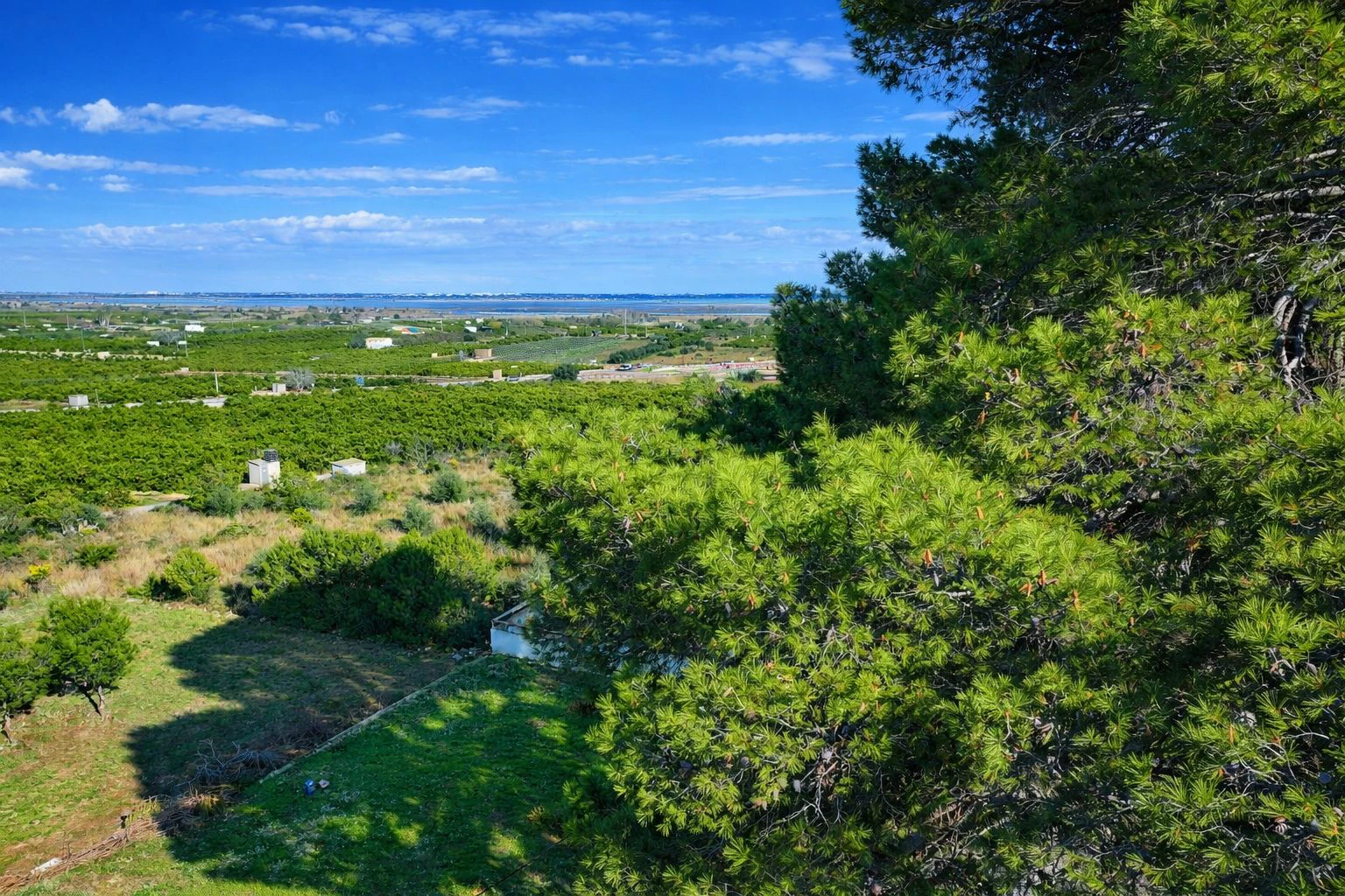 Casa de campo con cuadra de caballos cerca de Pego (Costa Blanca)