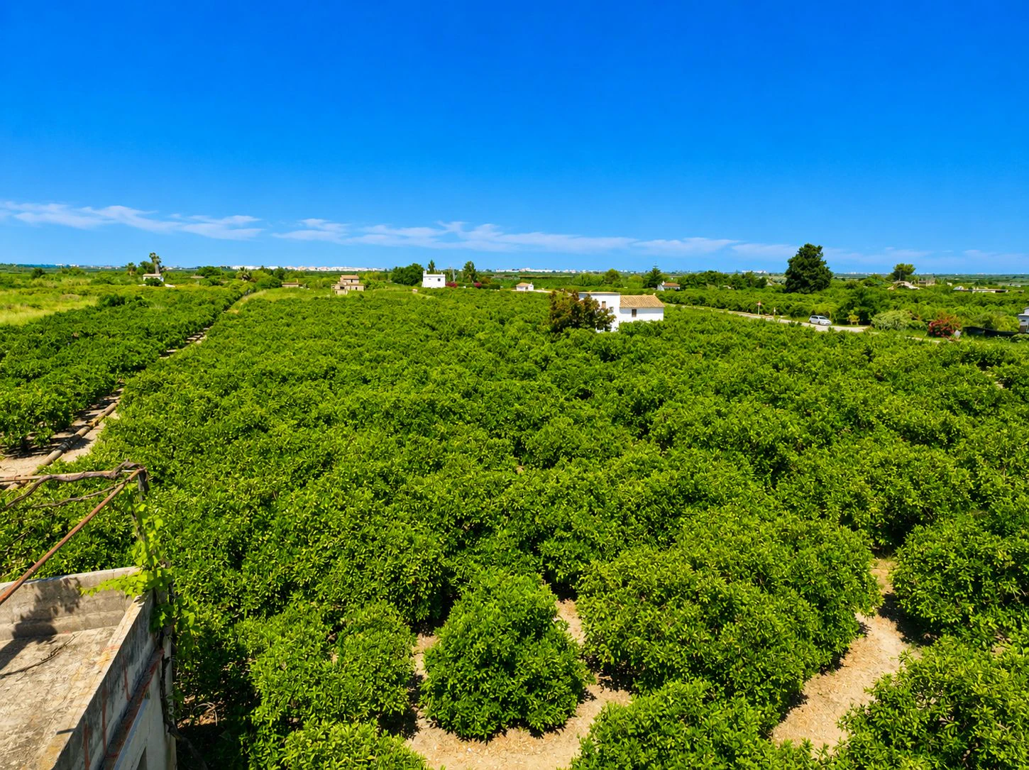 Parcelle rustique avec puits naturel d'eau à Pego (Costa Blanca)
