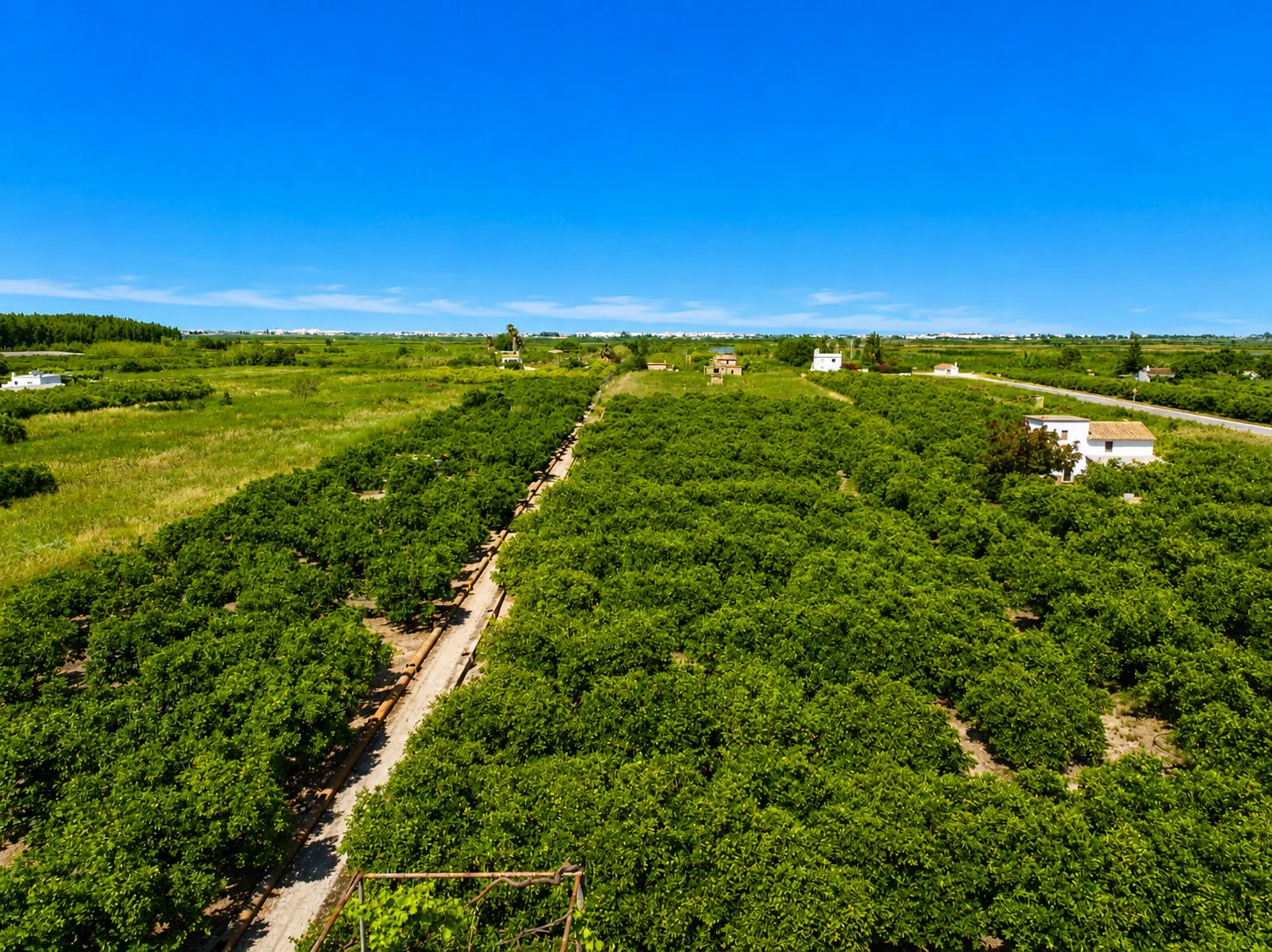 Parcelle rustique avec puits naturel d'eau à Pego (Costa Blanca)