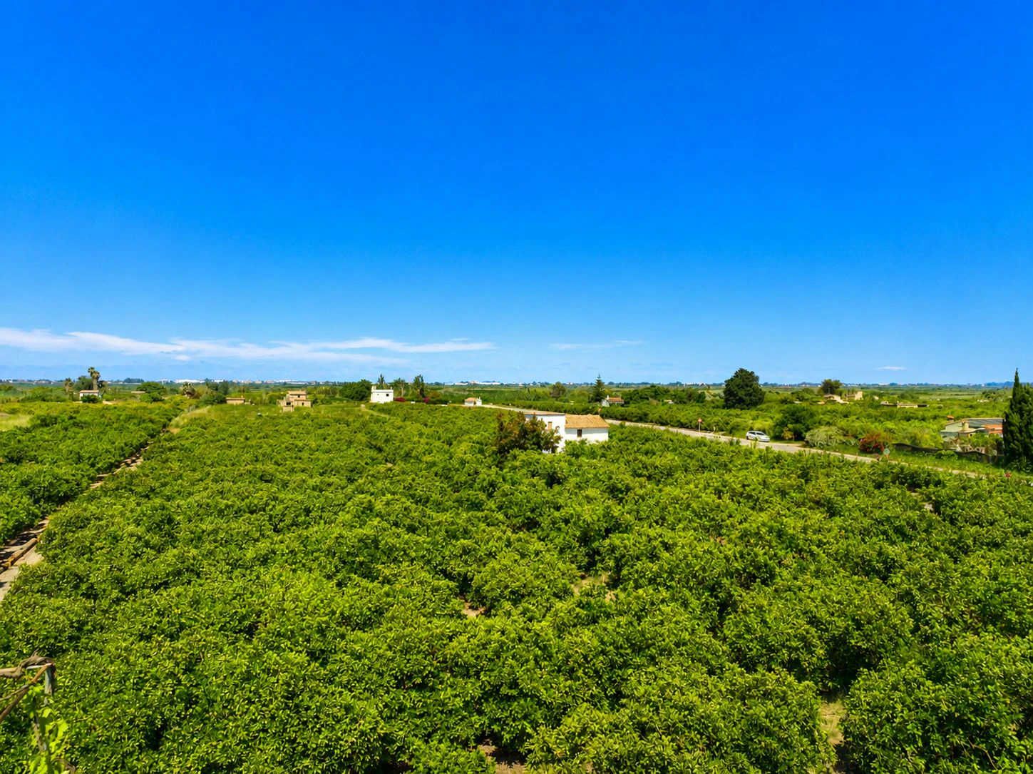 Parcelle rustique avec puits naturel d'eau à Pego (Costa Blanca)