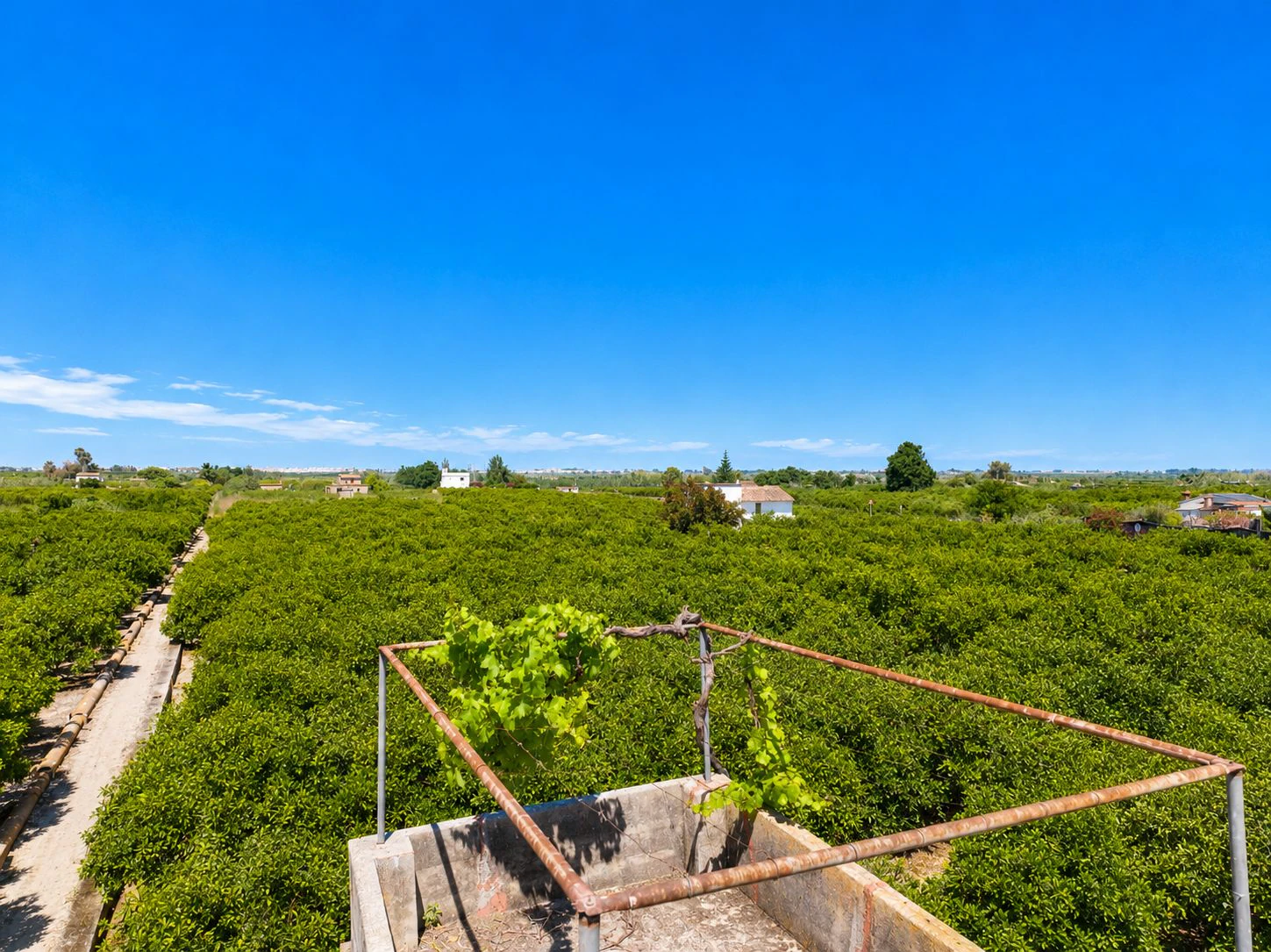 Parcelle rustique avec puits naturel d'eau à Pego (Costa Blanca)
