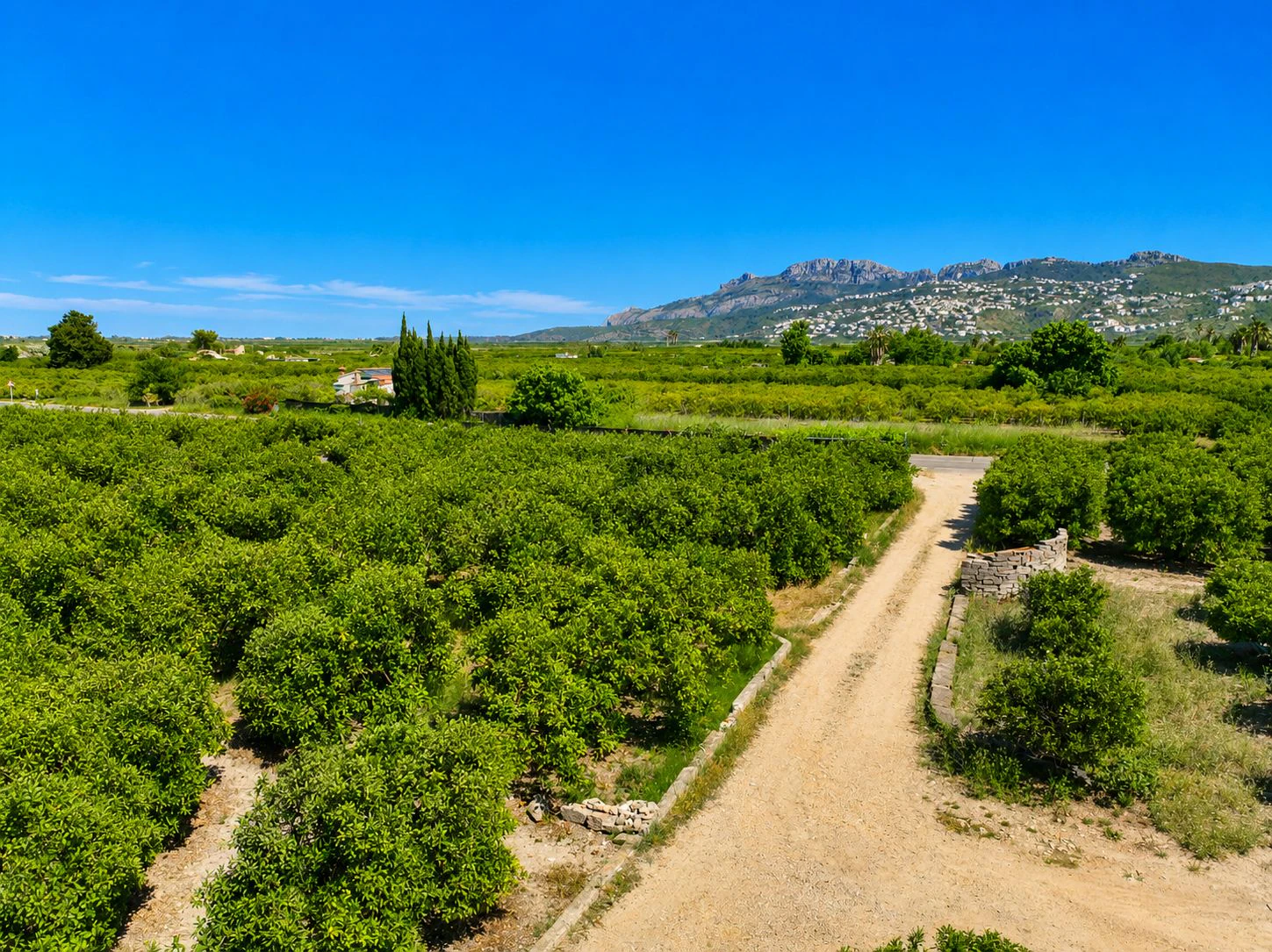Parcelle rustique avec puits naturel d'eau à Pego (Costa Blanca)