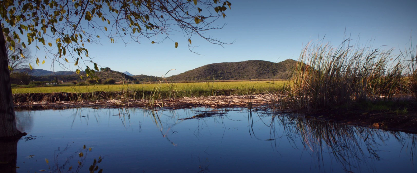 Parcelle rustique avec puits naturel d'eau à Pego (Costa Blanca)