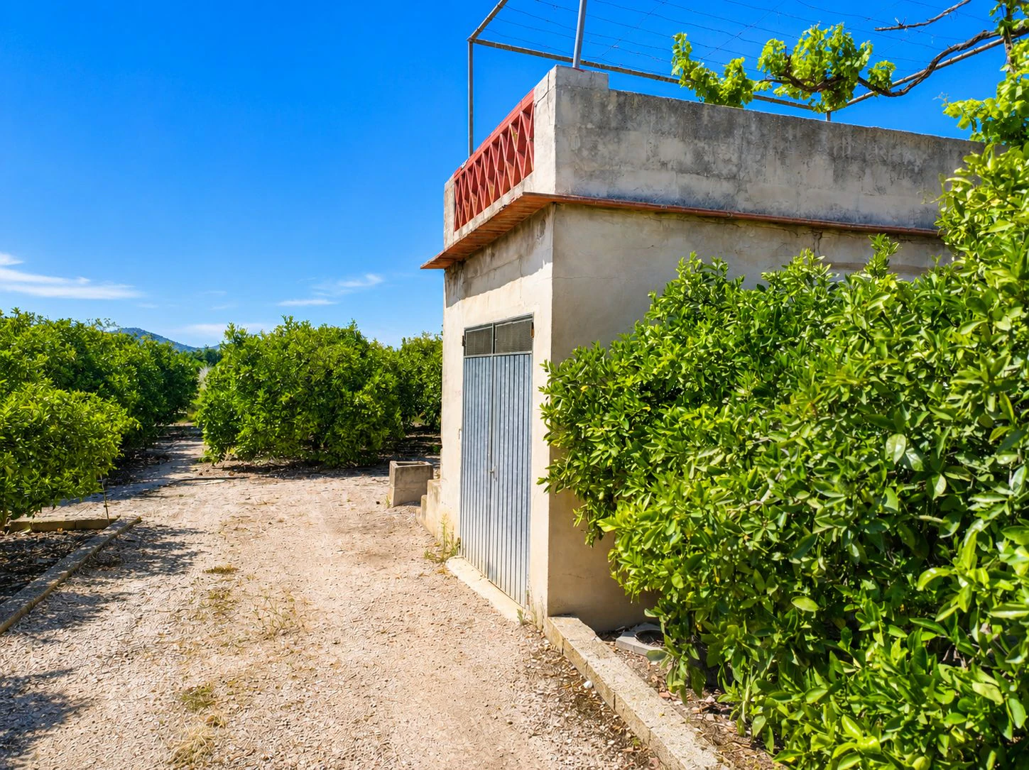 Parcelle rustique avec puits naturel d'eau à Pego (Costa Blanca)
