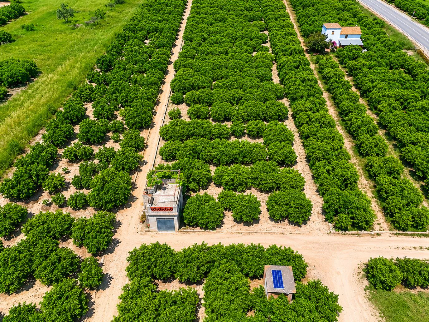 Parcelle rustique avec puits naturel d'eau à Pego (Costa Blanca)