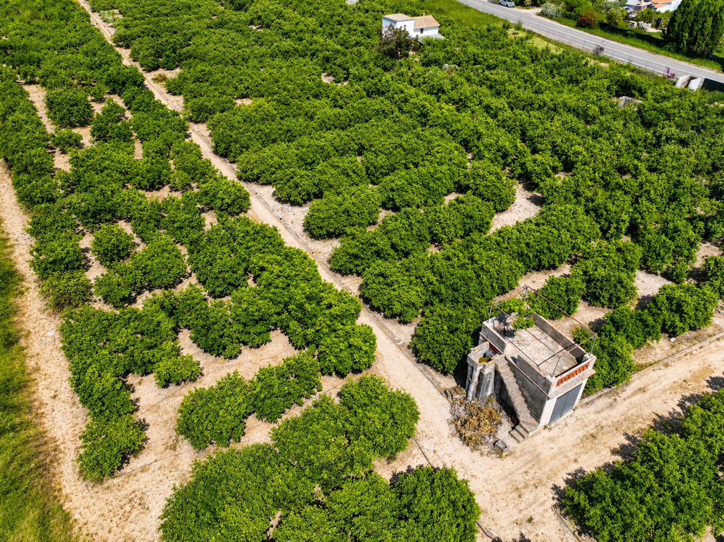Parcelle rustique avec puits naturel d'eau à Pego (Costa Blanca)