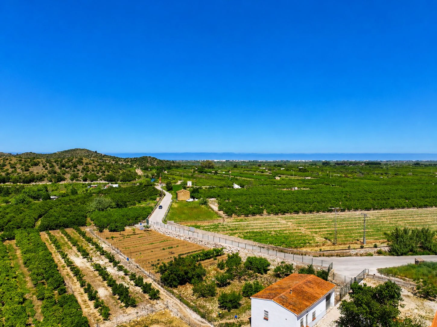 Finca agrícola de naranjas Navel en plena producción a 4 km de Pego y Oliva (Costa Blanca)