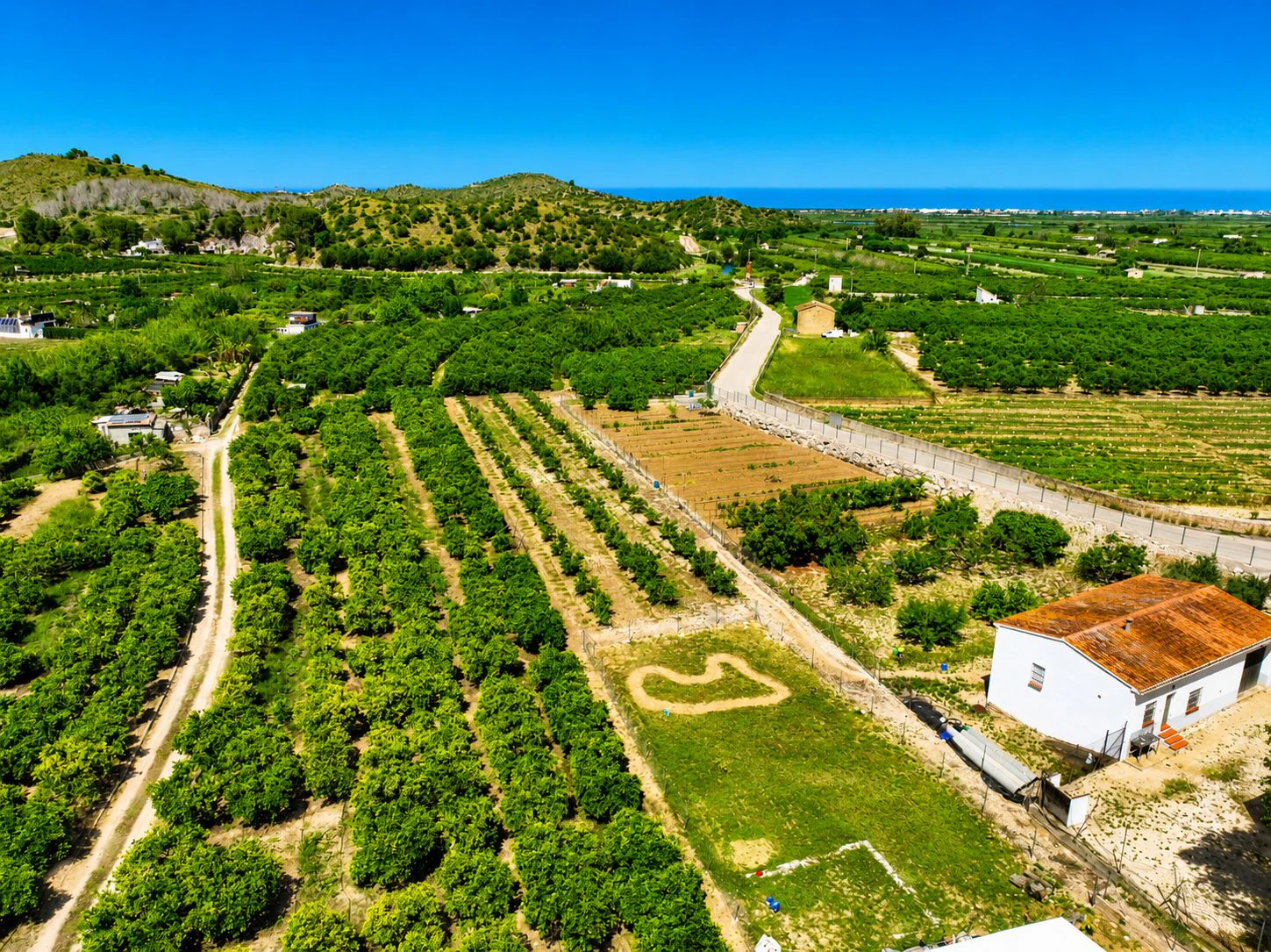 Finca agrícola de naranjas Navel en plena producción a 4 km de Pego y Oliva (Costa Blanca)