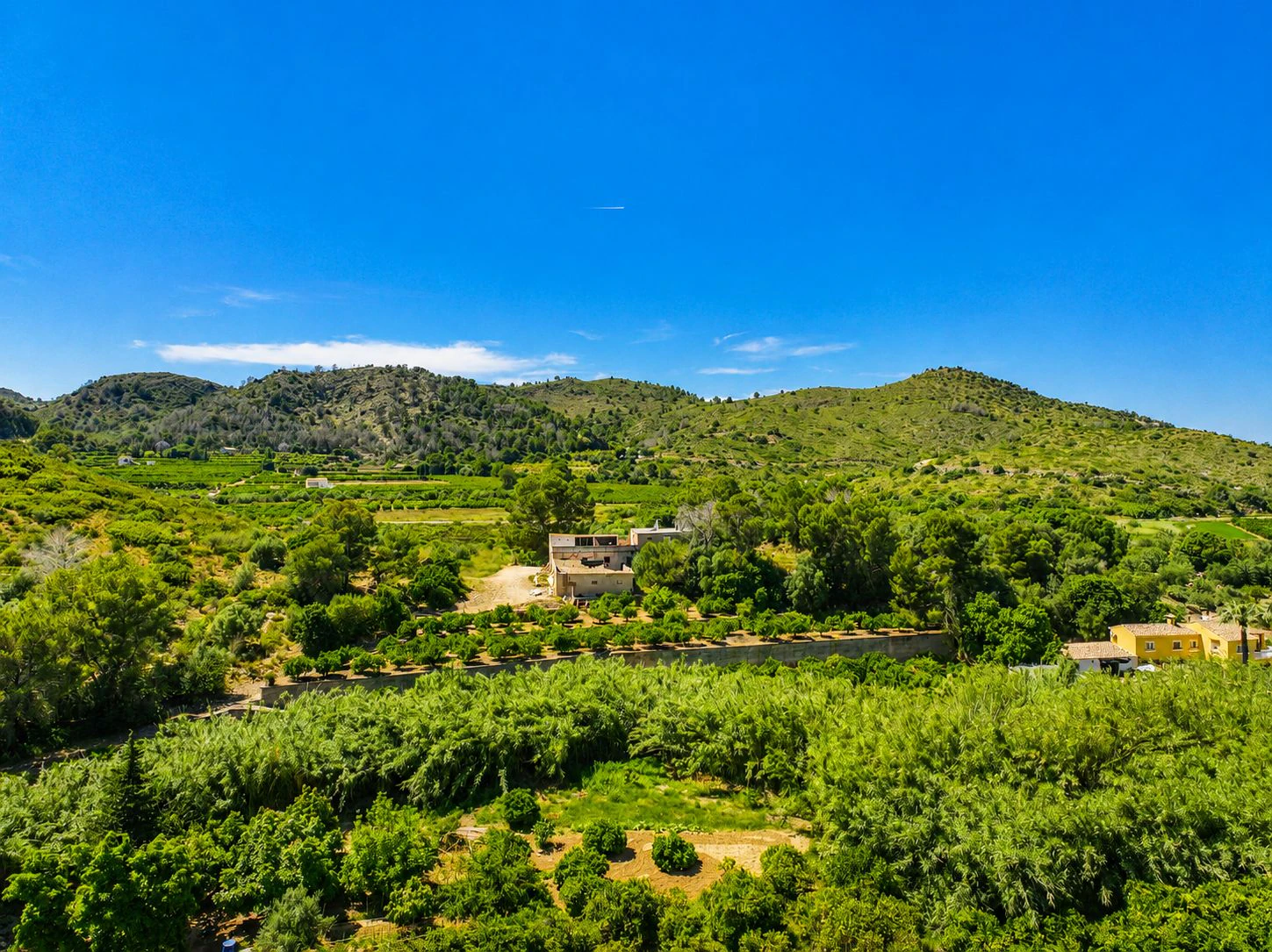 Finca agrícola de naranjas Navel en plena producción a 4 km de Pego y Oliva (Costa Blanca)