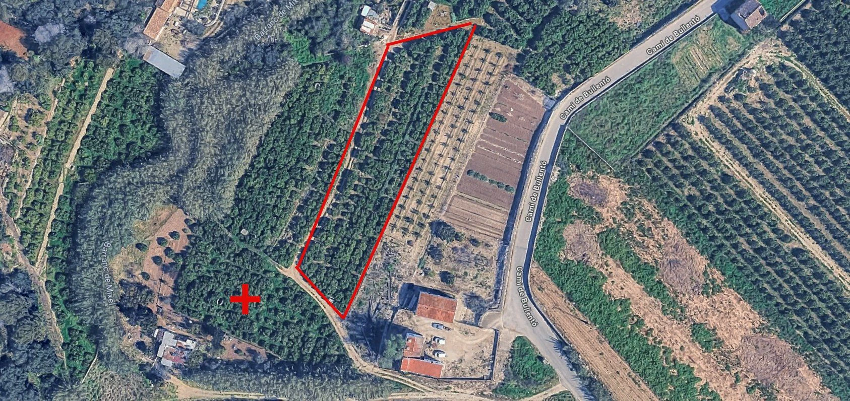 Finca agrícola de naranjas Navel en plena producción a 4 km de Pego y Oliva (Costa Blanca)