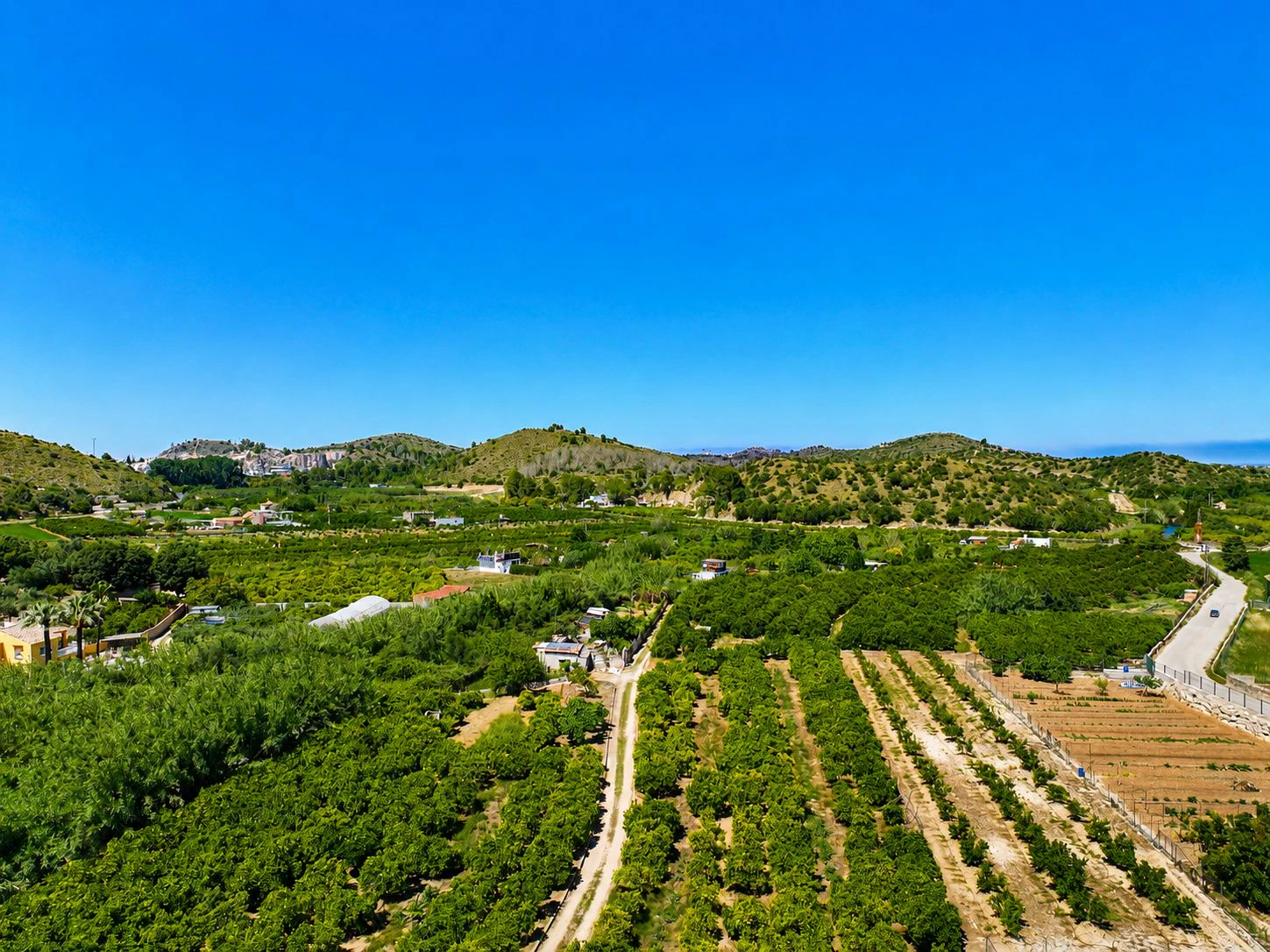 Finca agrícola de naranjas Navel en plena producción a 4 km de Pego y Oliva (Costa Blanca)