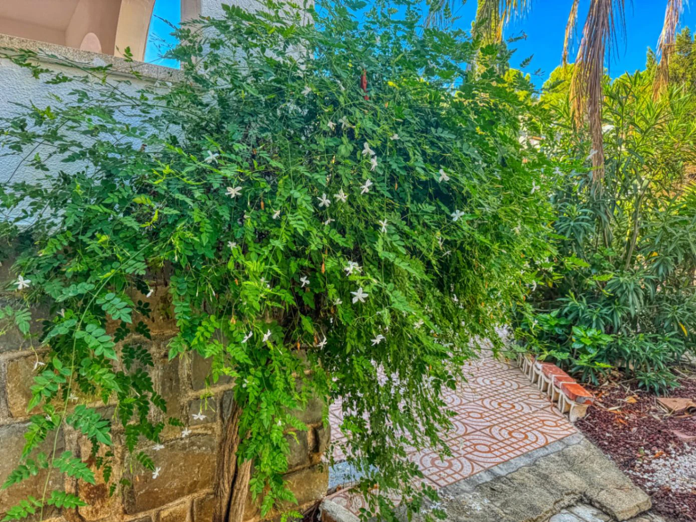 Chalet mit Tennisplatz und Garten in Les Rotes (Denia)