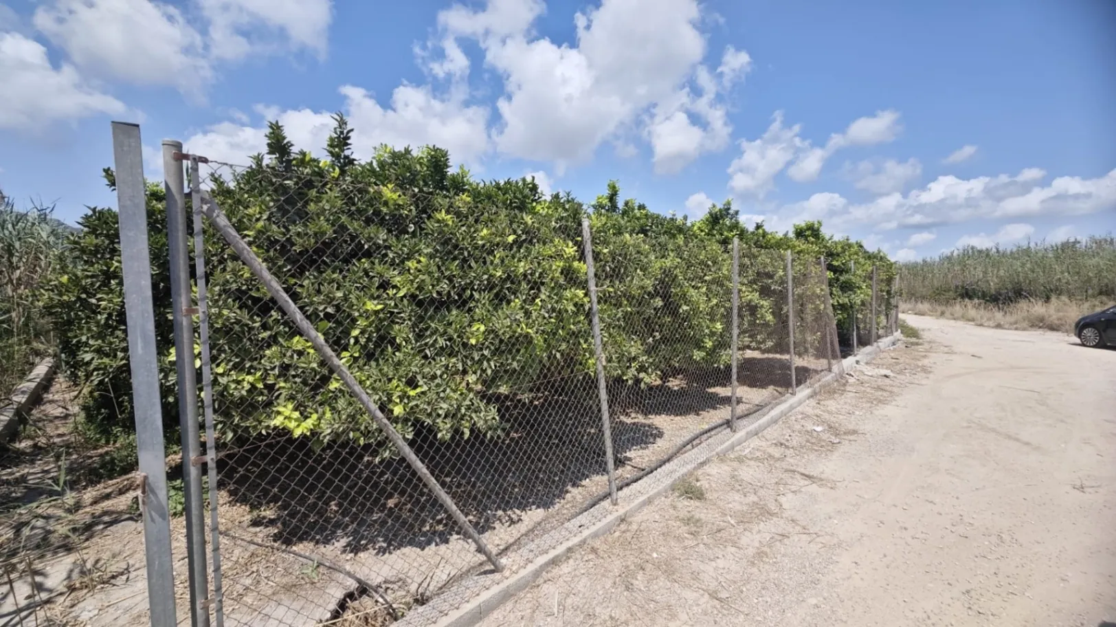 PR 033 D - PARCELA DE 1.500m2 de NAVELINAS