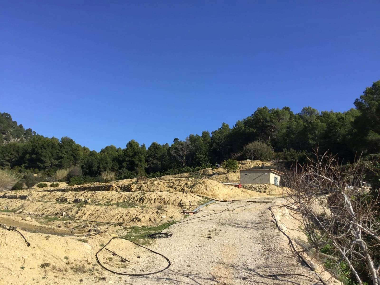 TERRENO EN ADOR CON PARTE URBANIZABLE
