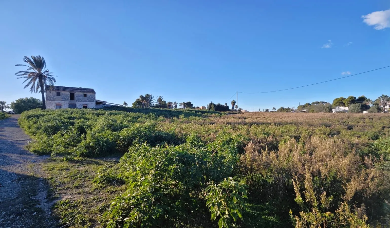 PARCELA con CASA RUSTICA para REFORMAR de 493m2 - DENIA - LA XARA