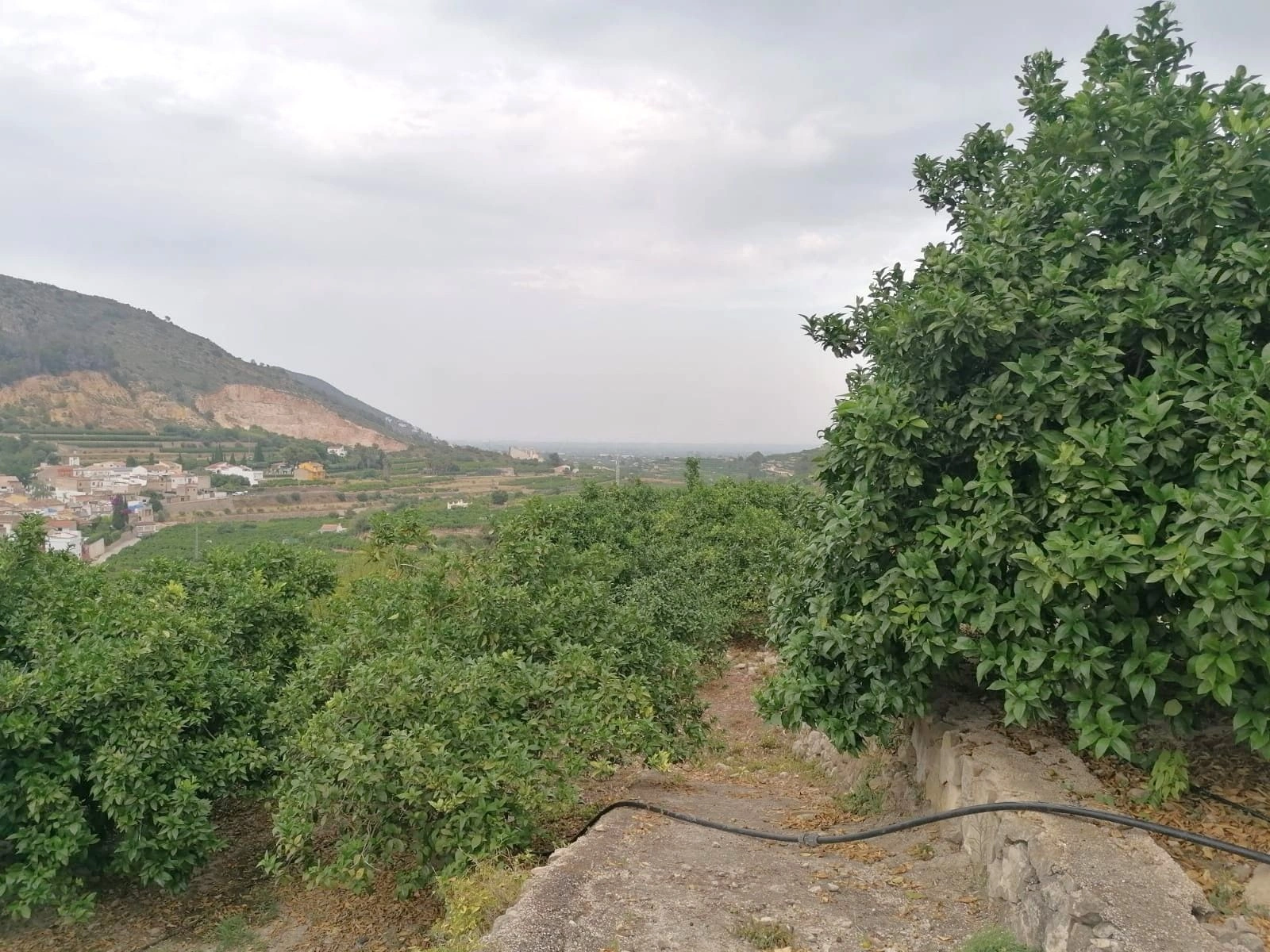 PARCELA RUSTICA CON VISTAS PANORÁMICAS EN FORNA