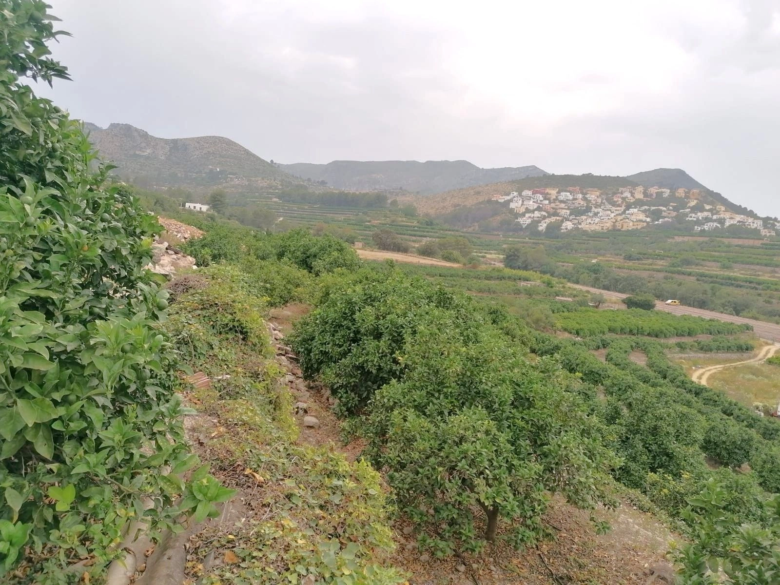 PARCELA RUSTICA CON VISTAS PANORÁMICAS EN FORNA