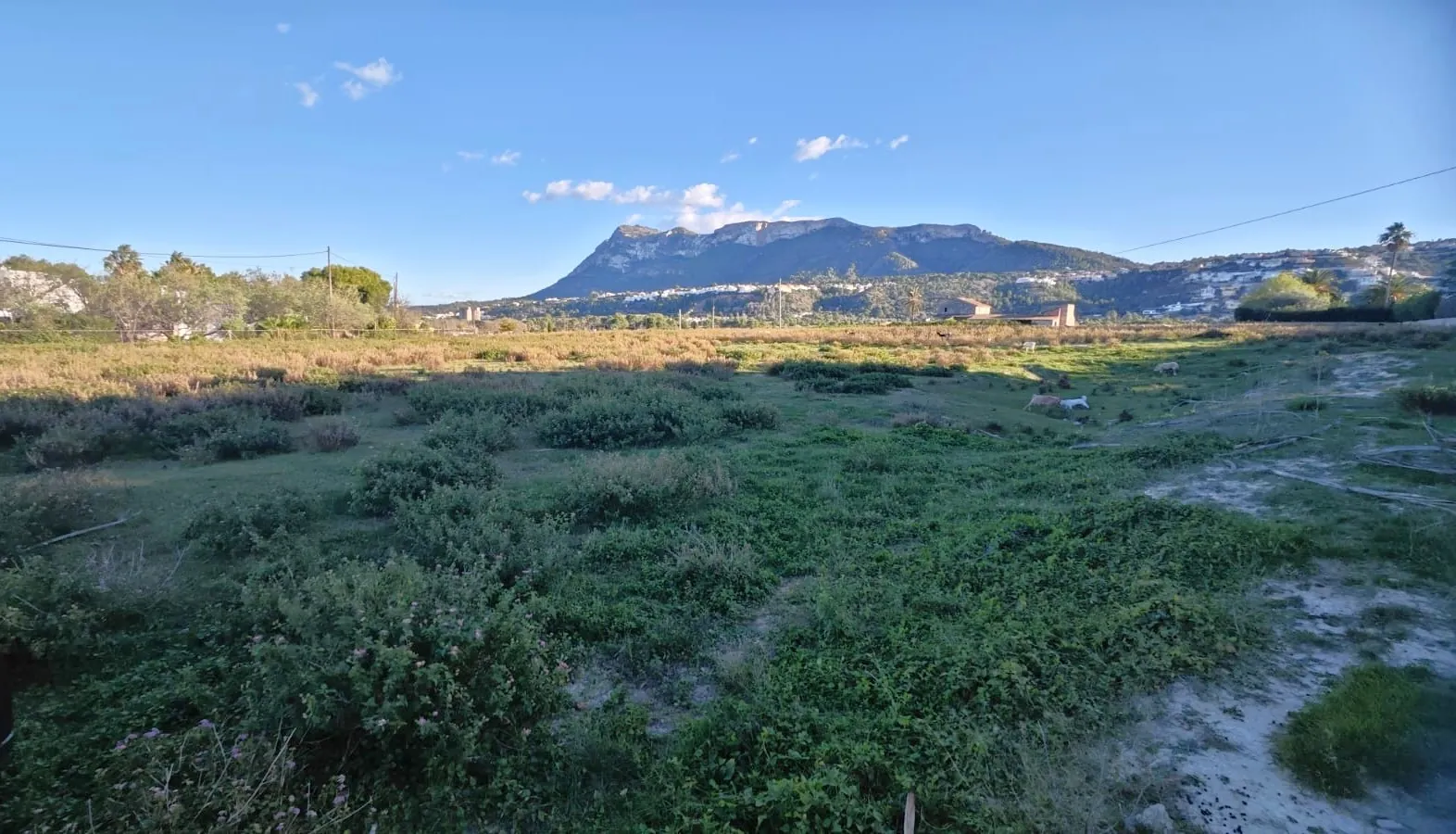 PARCELA con CASA RUSTICA para REFORMAR de 493m2 - DENIA - LA XARA