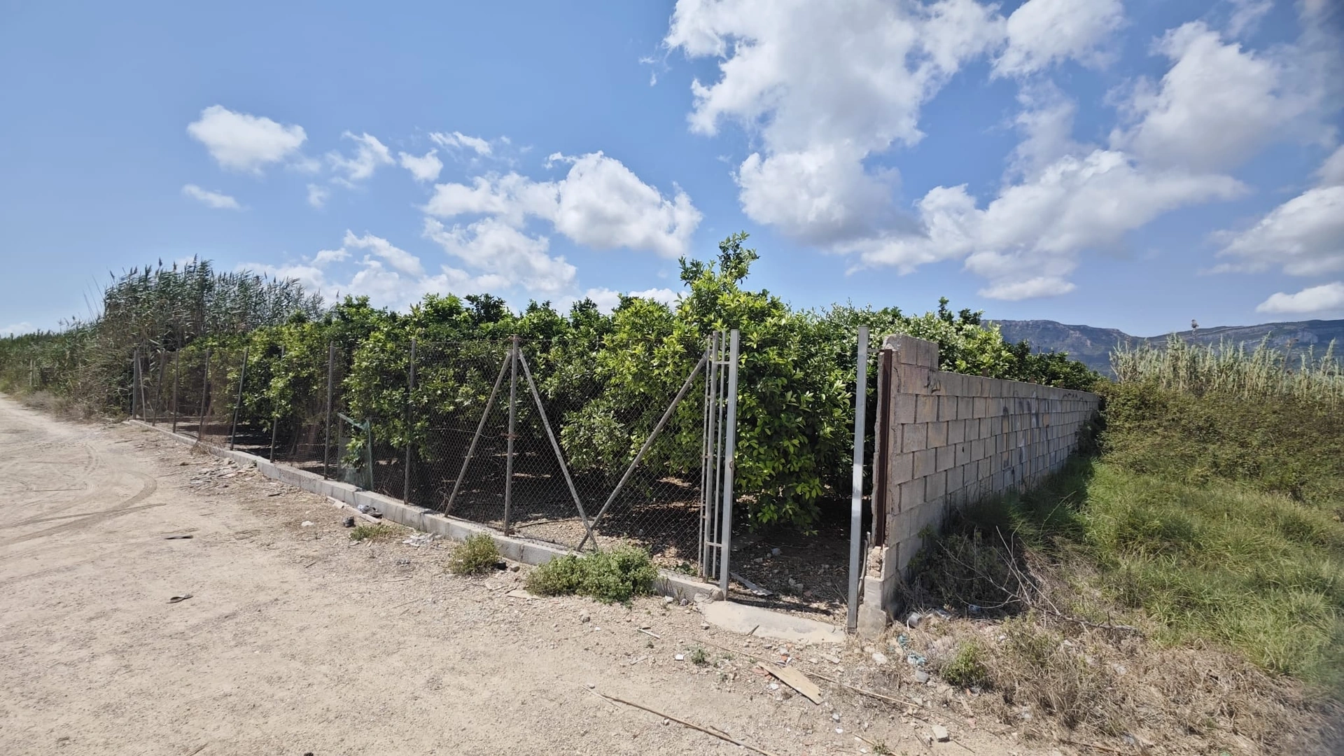 PARCELA DE 1.500m2 de NAVELINAS