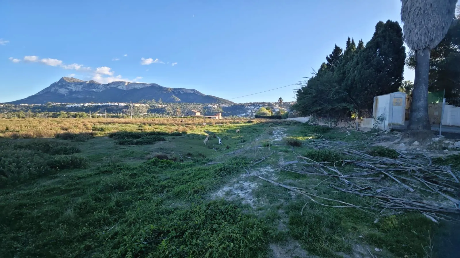 PARCELA con CASA RUSTICA para REFORMAR de 493m2 - DENIA - LA XARA